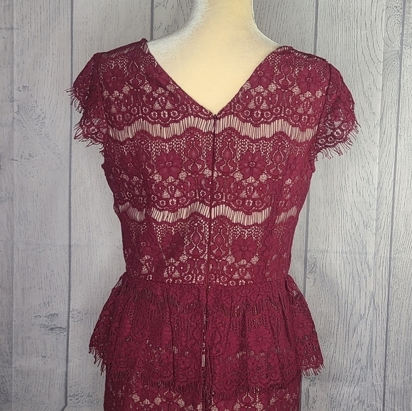 Anthropologie Maeve Elsa Peplum Lace Cocktail Dress Size Medium - Picture 8 of 10